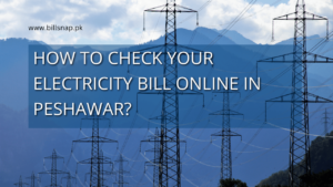 How to Check Your Electricity Bill Online in Peshawar